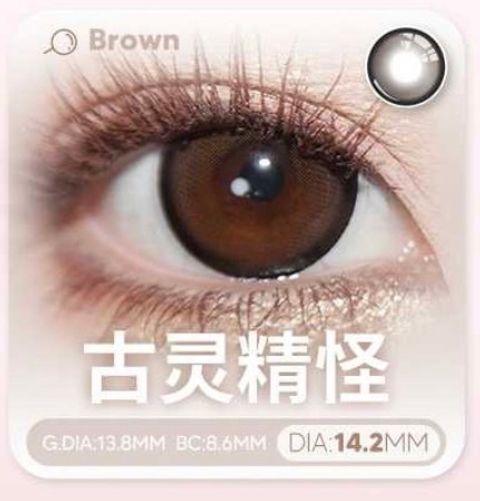 image_FADEA94C-F7F8-435A-849A-EBE7947414E8_1768921372