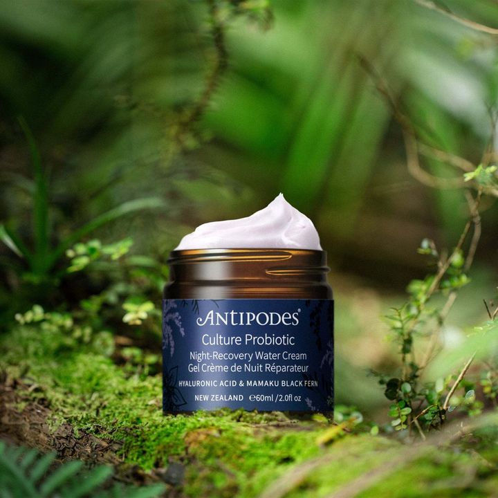 Culture Probiotic Night Recovery Water Cream 60ml
