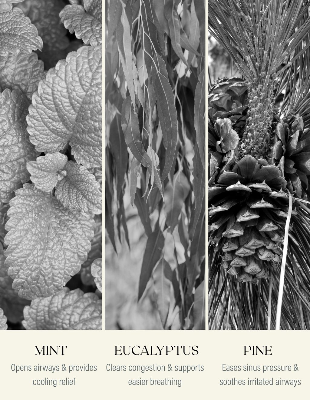 250218_IE_Myer_product_tiles_-_breathe_10mL_-_ingredients__36979