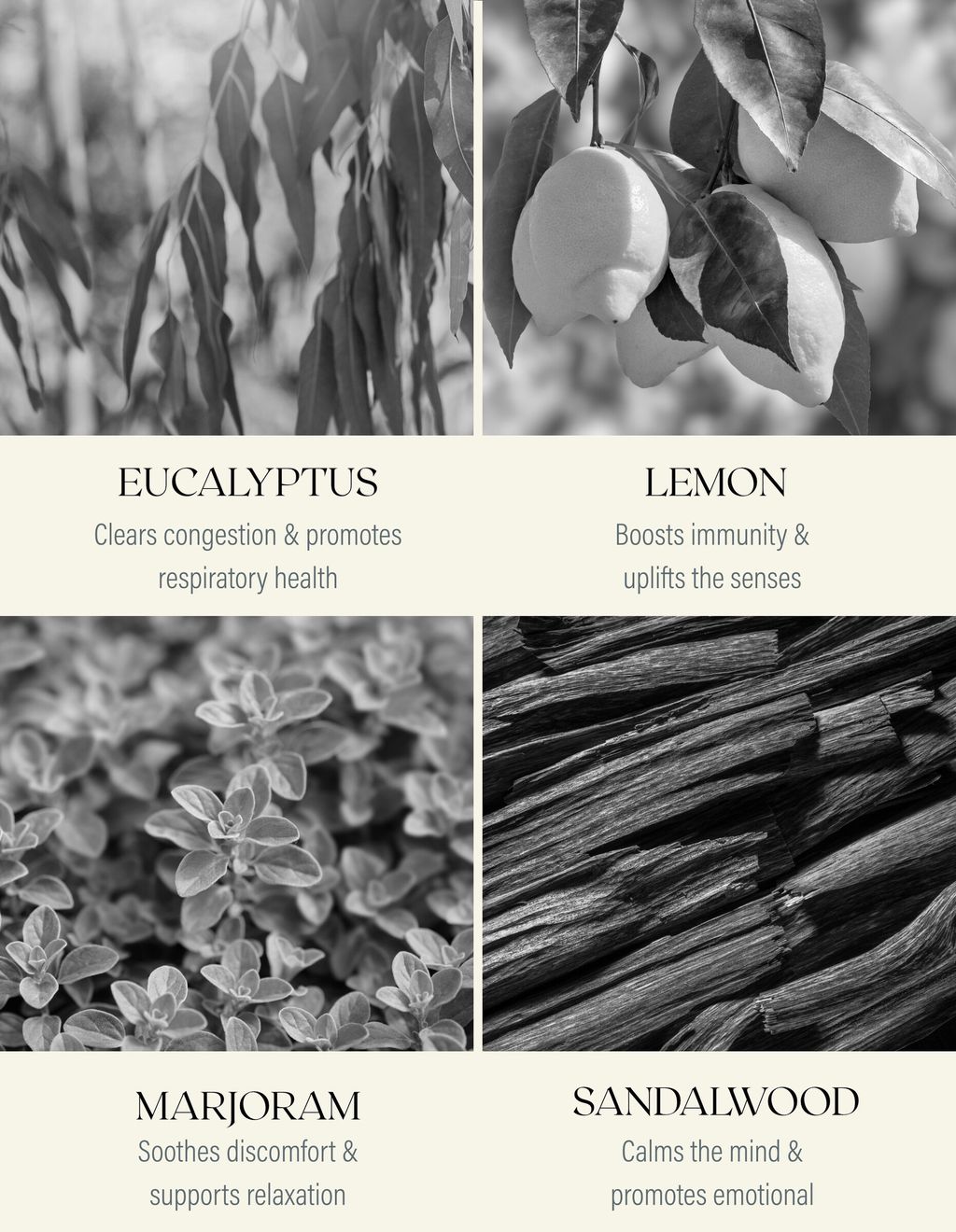 250218_IE_Myer_product_tiles_-_immune_10mL_-_ingredients__02999