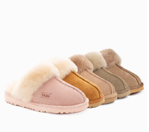 螢幕擷取畫面 2026-01-20 212518