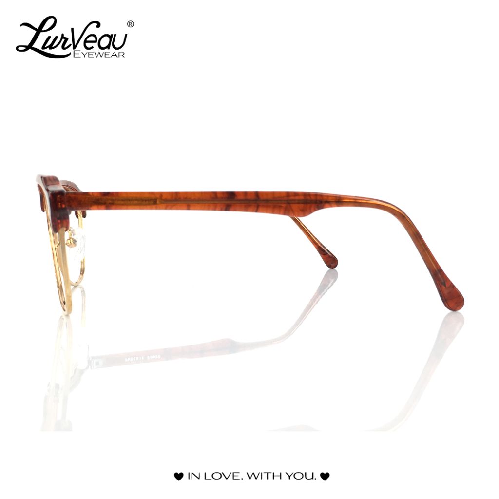 Lvphoenix90920brown_0003.jpg