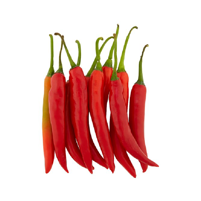 cili-besar-merah