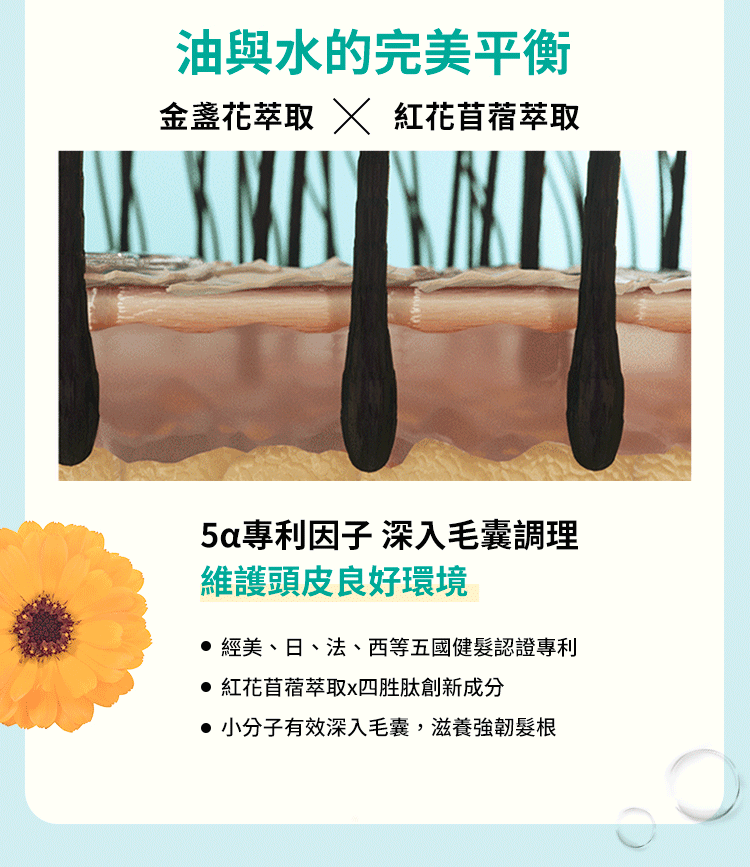 500ml 3