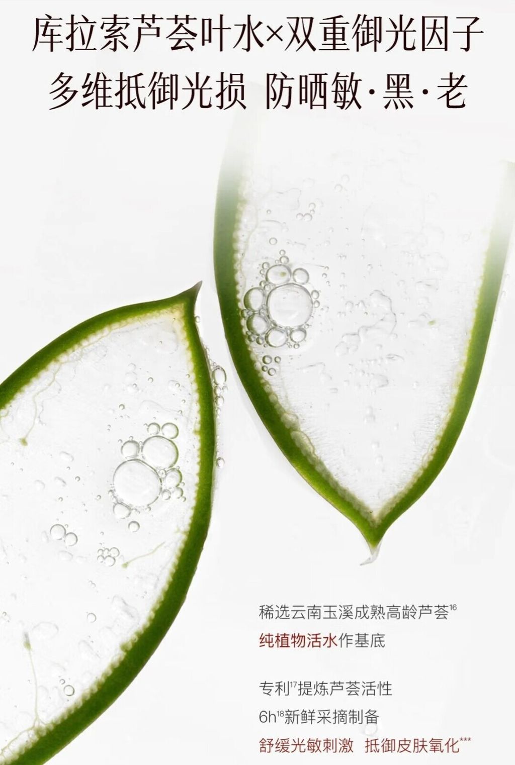 d1d9564a977562be9b6e852499200d22