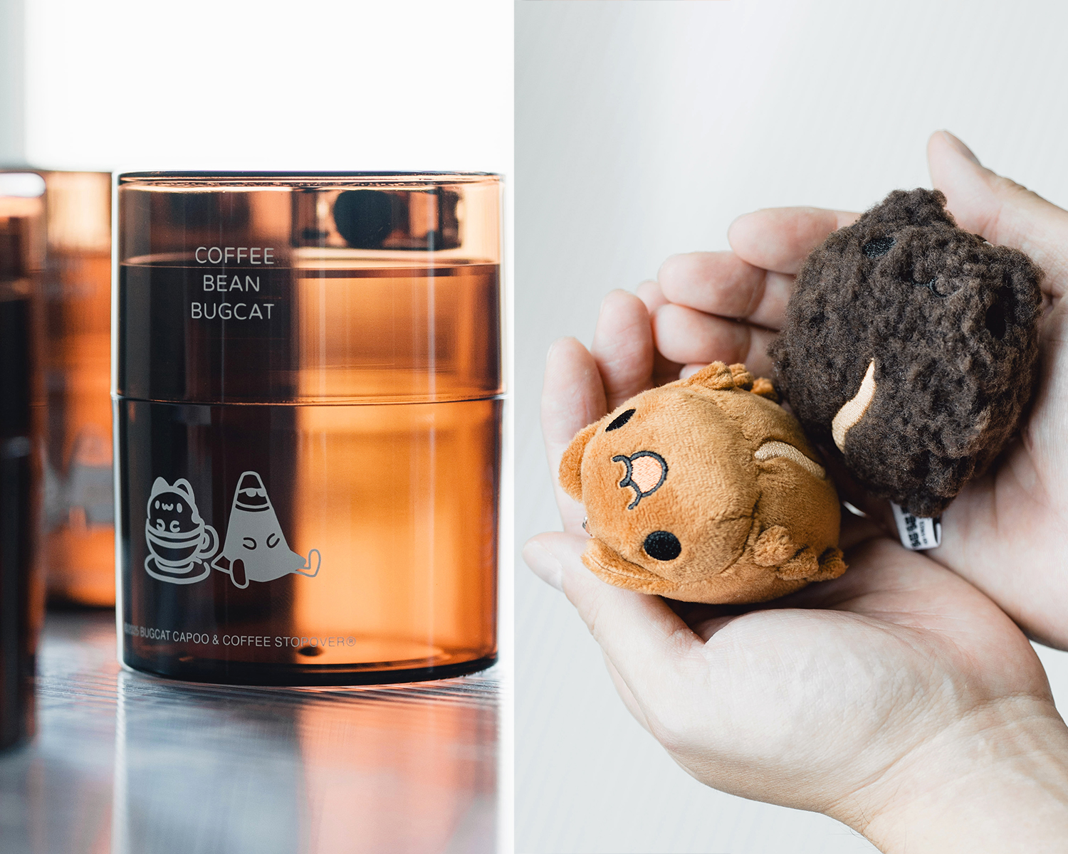 奶泡貓可愛回歸！ | Coffee Stopover