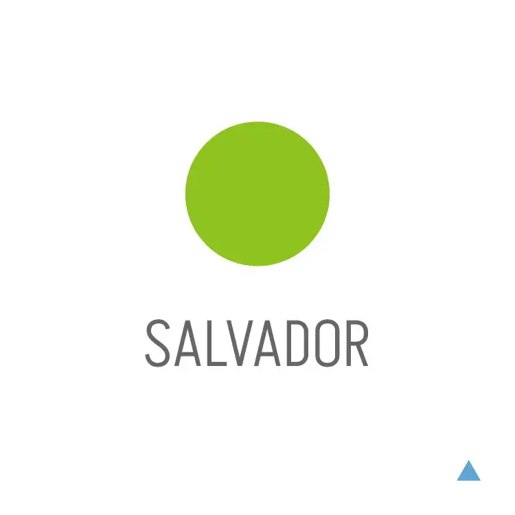 single-salvador-l-w