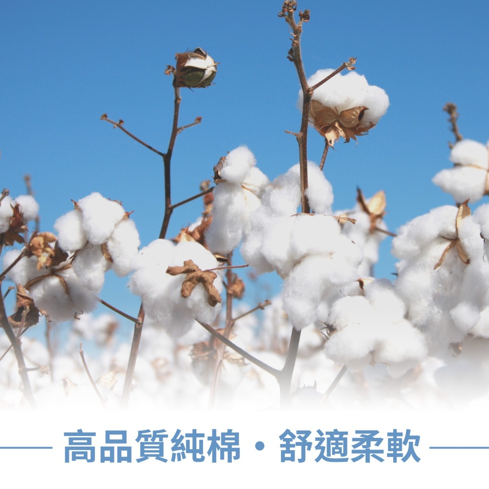 tw-11134207-7r98r-lmilv4hxr7a127