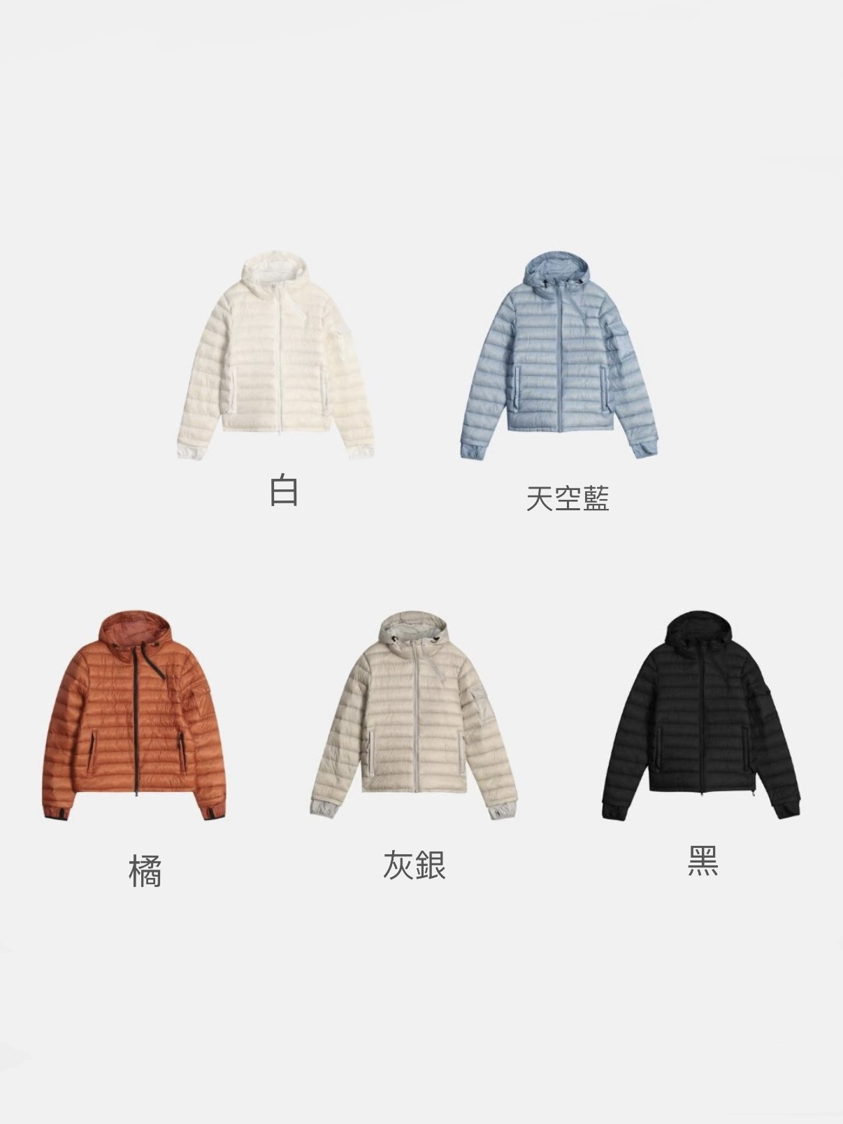 image_E55C4DC5-8F49-4A6B-934E-1895E4DAB64F_1768845546