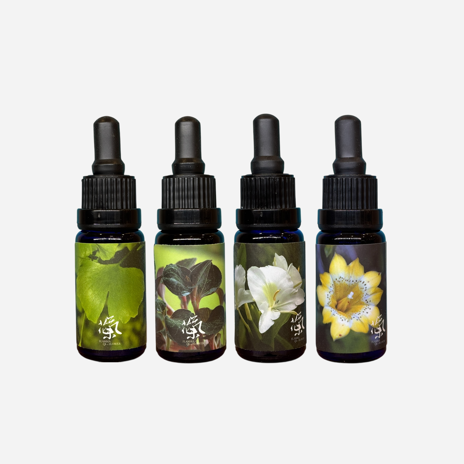 官網用產品圖-野薑花花氣+銀杏訊息+黃龍膽花氣+金線蓮訊息