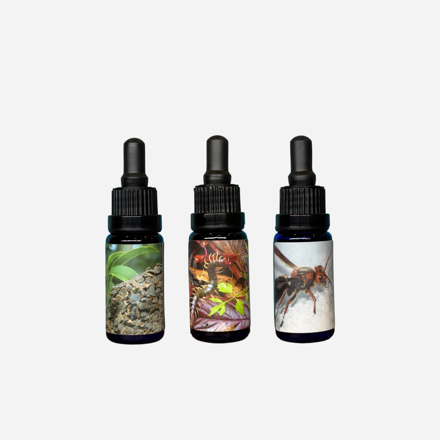 官網用產品圖-野薑花花氣+銀杏訊息+黃龍膽花氣+金線蓮訊息 (2)