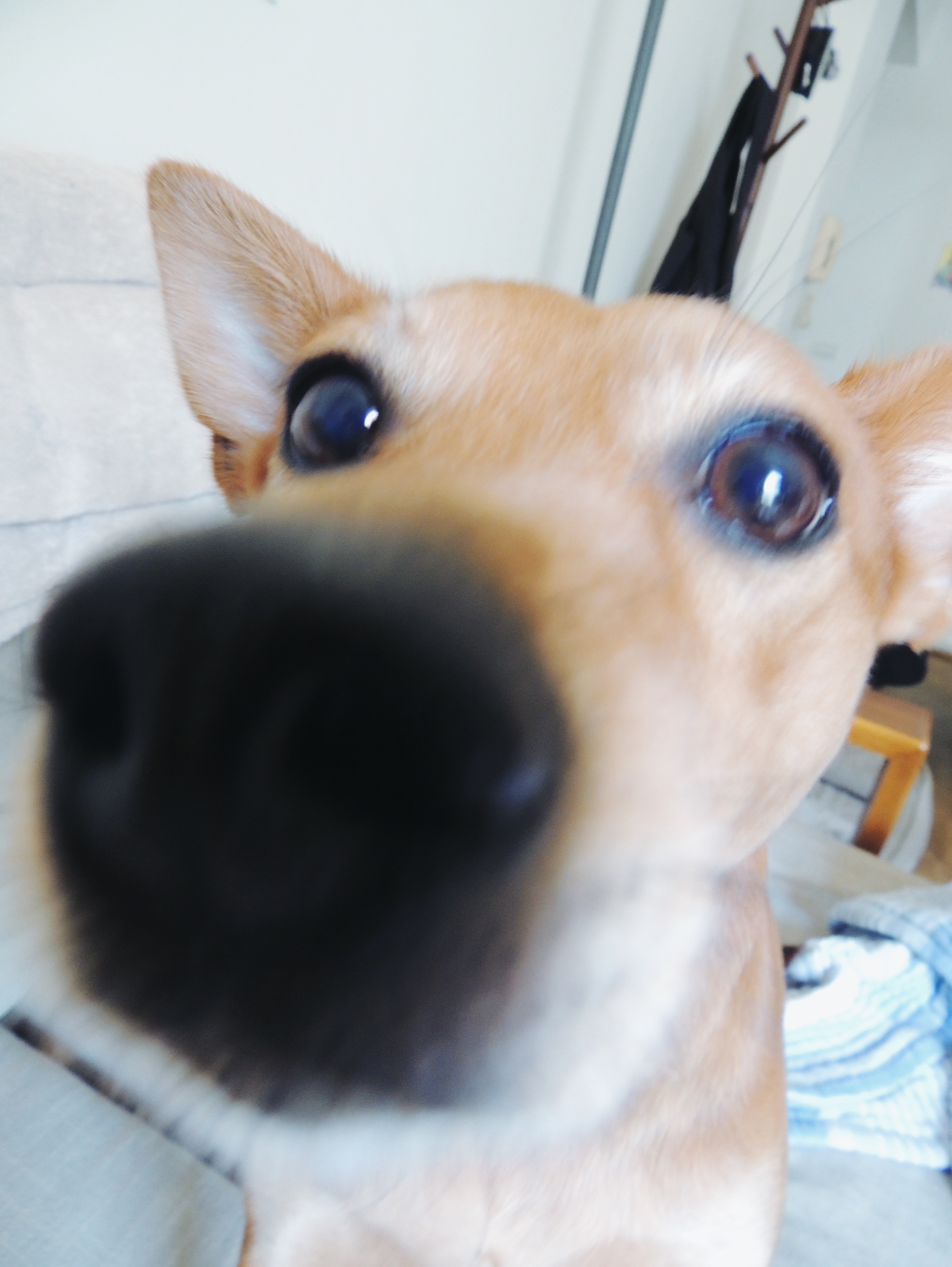photo-output_0