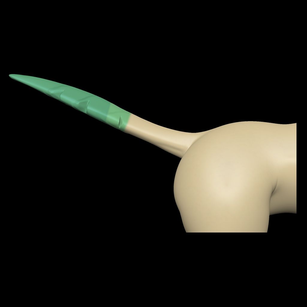 mmexport1773809364356