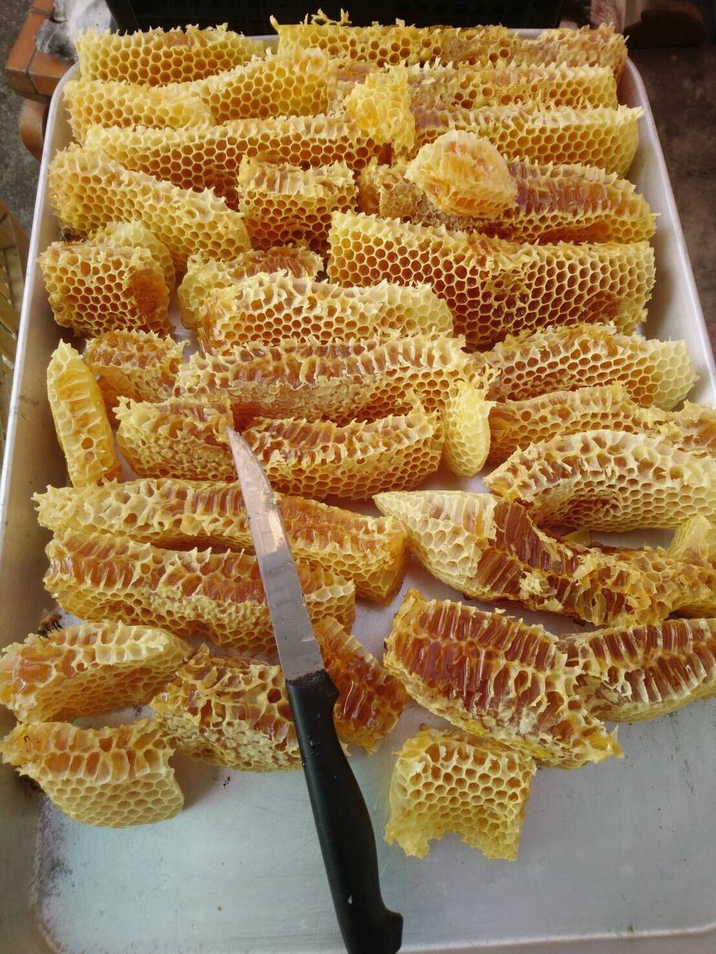 LINE_ALBUM_養蜂🐝趣_250320_11