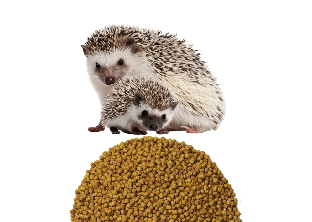 特寵家exopets⁺