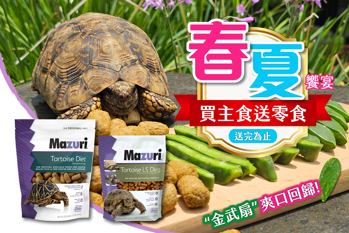  | 特寵家exopets⁺