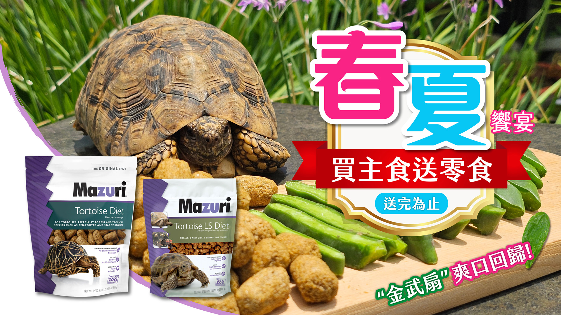  | 特寵家exopets⁺