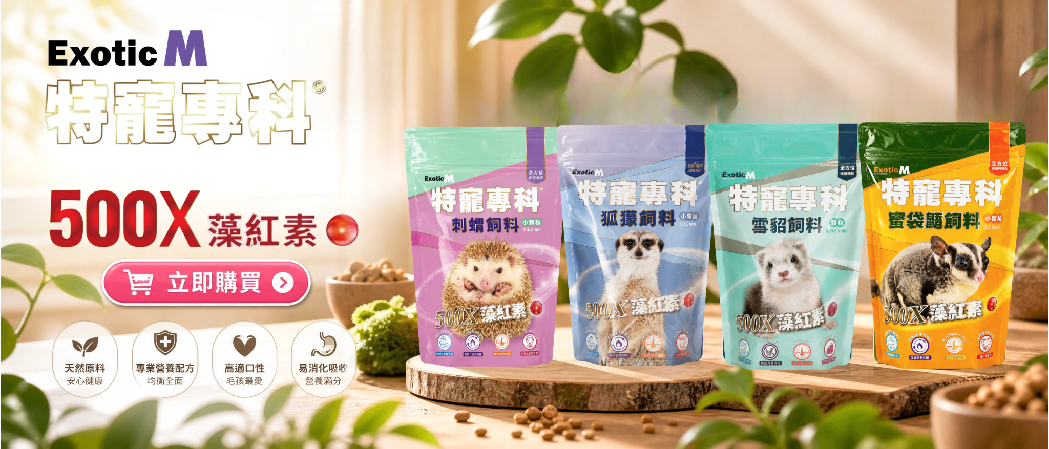  | 特寵家exopets⁺
