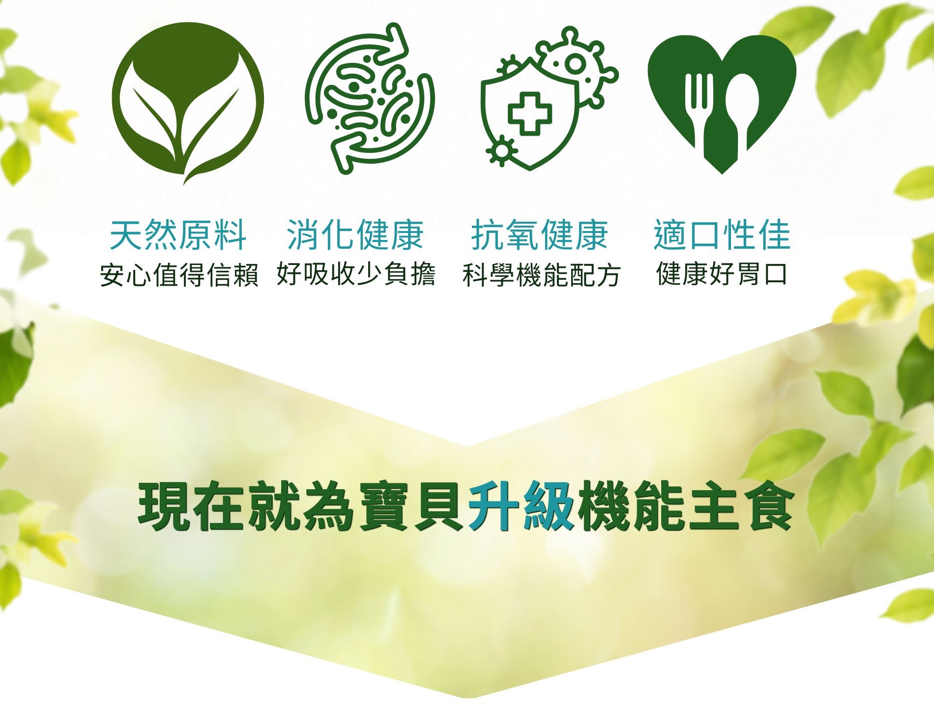 特寵專科1頁廣告 (1)