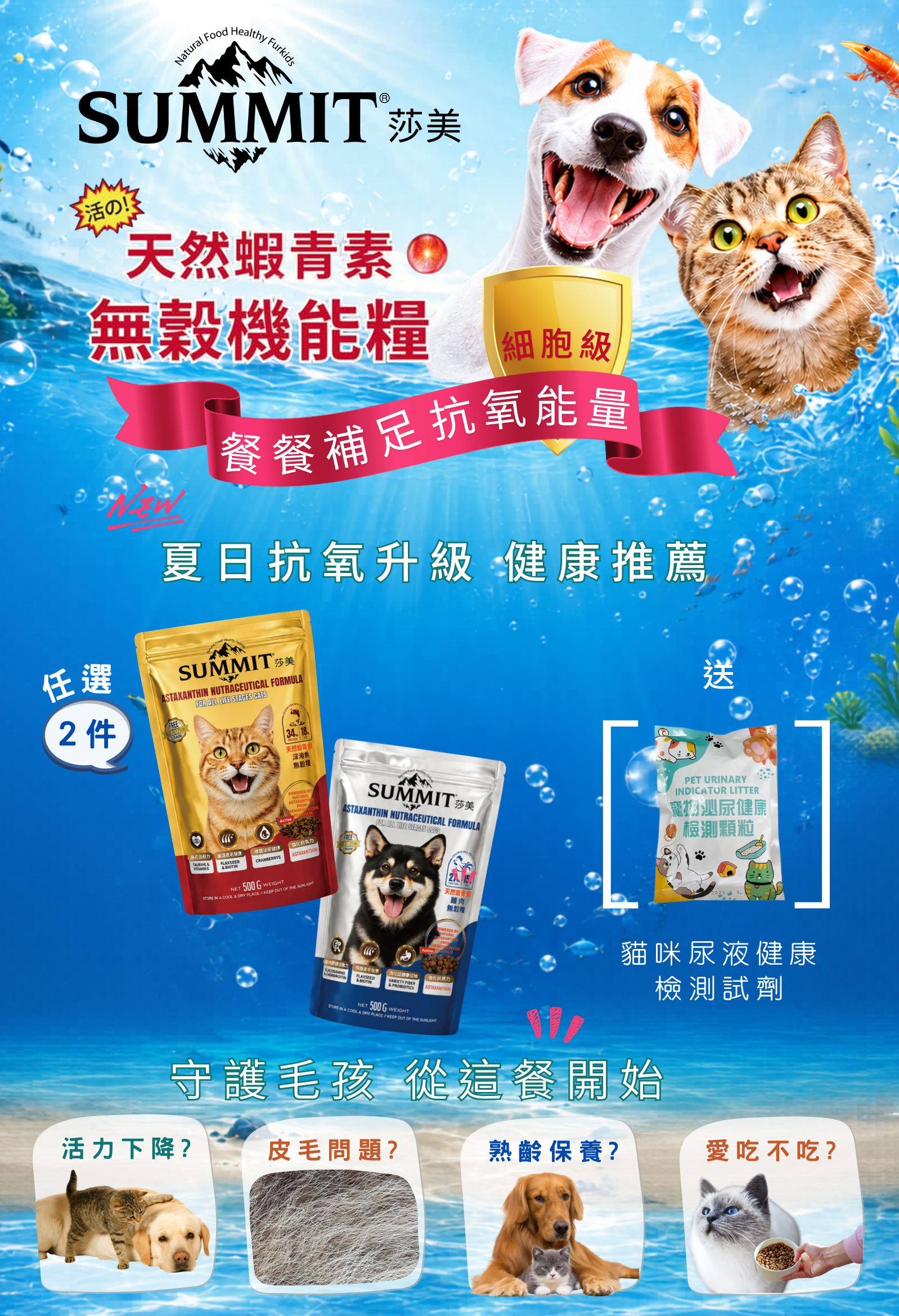 莎美天然蝦青素一頁式廣告