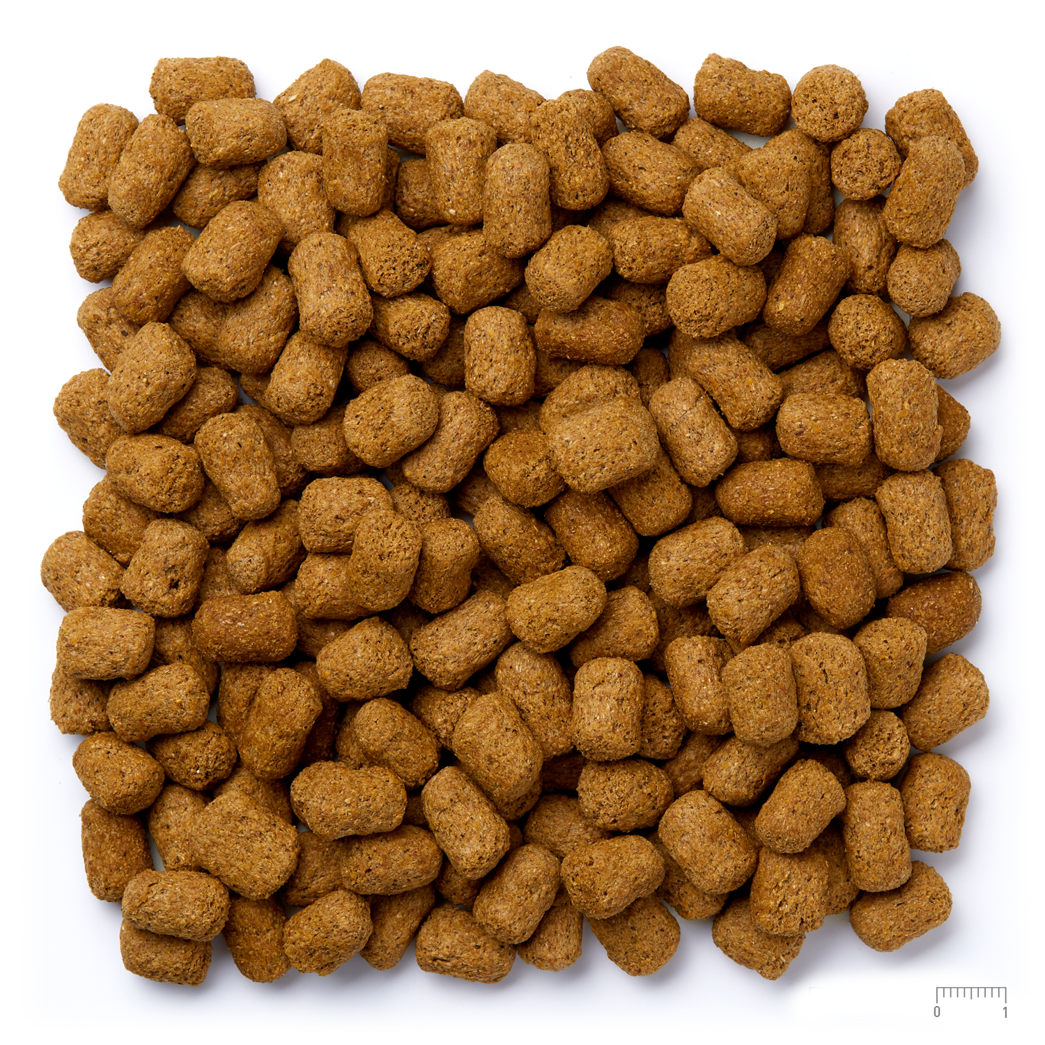 M21-Purina_Mazuri_Tortoise_Feed_cm