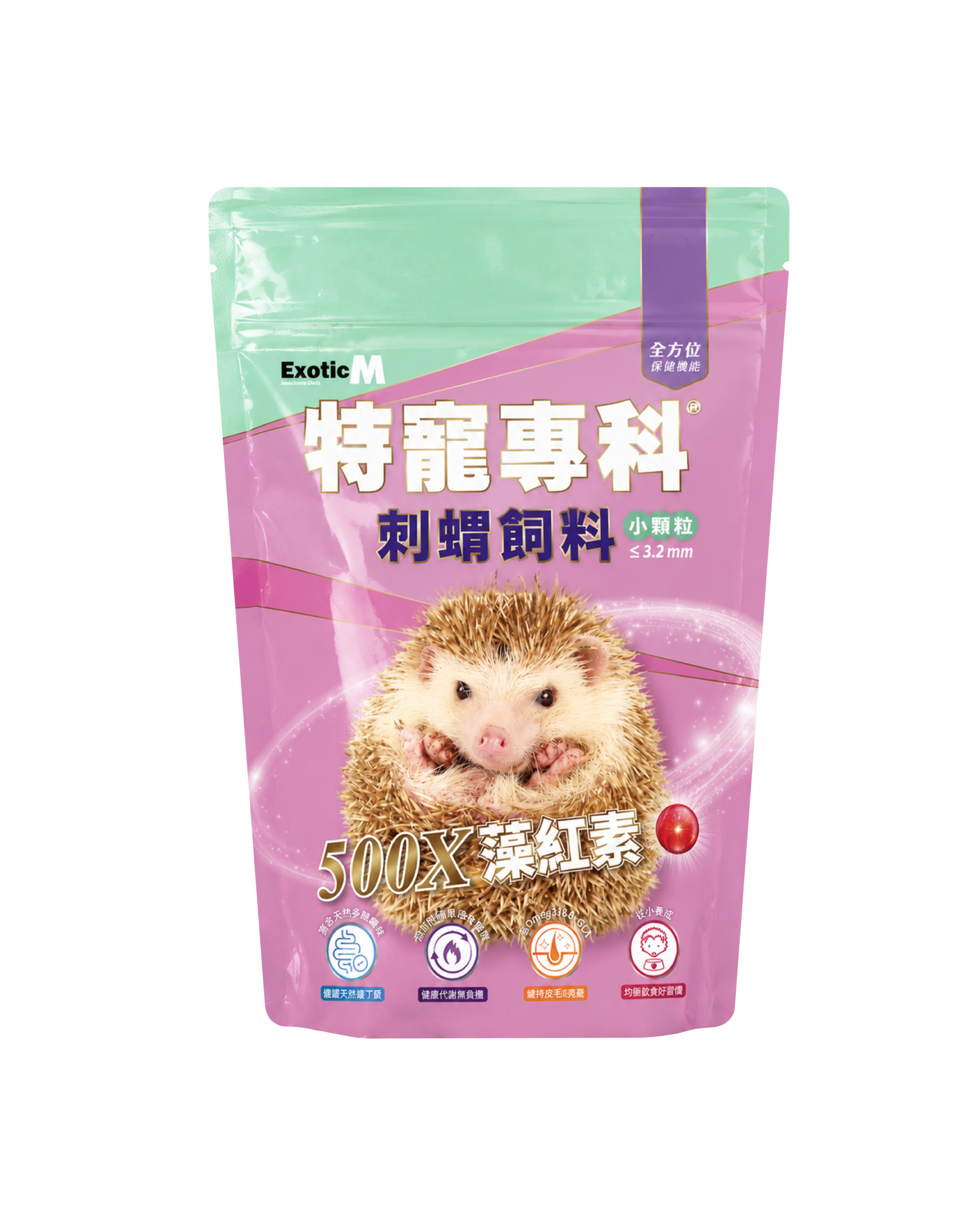 特寵專科-刺蝟
