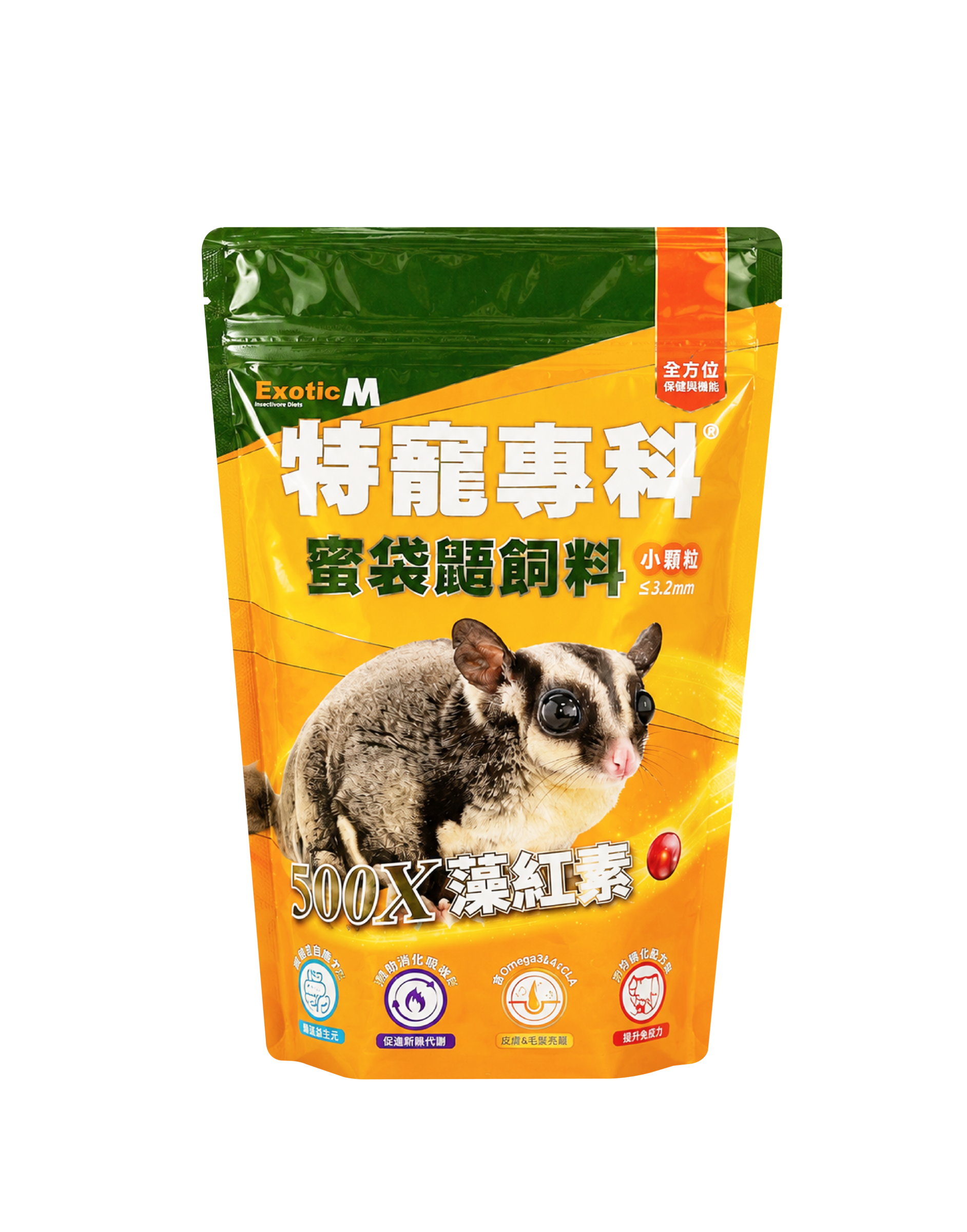 特寵專科-蜜袋鼯