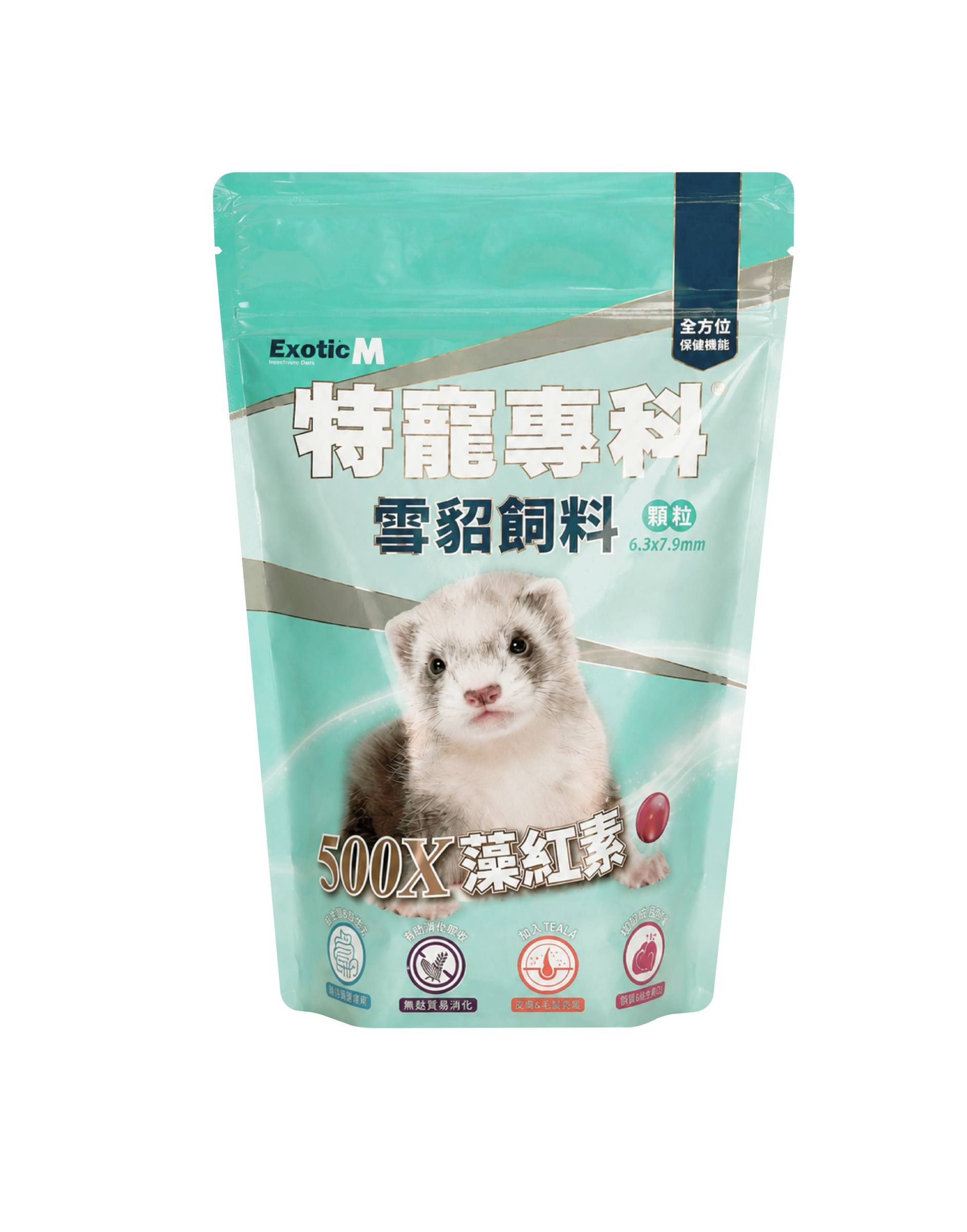 特寵專科-雪貂