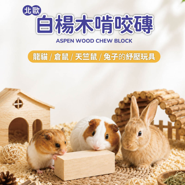 網站 600X600