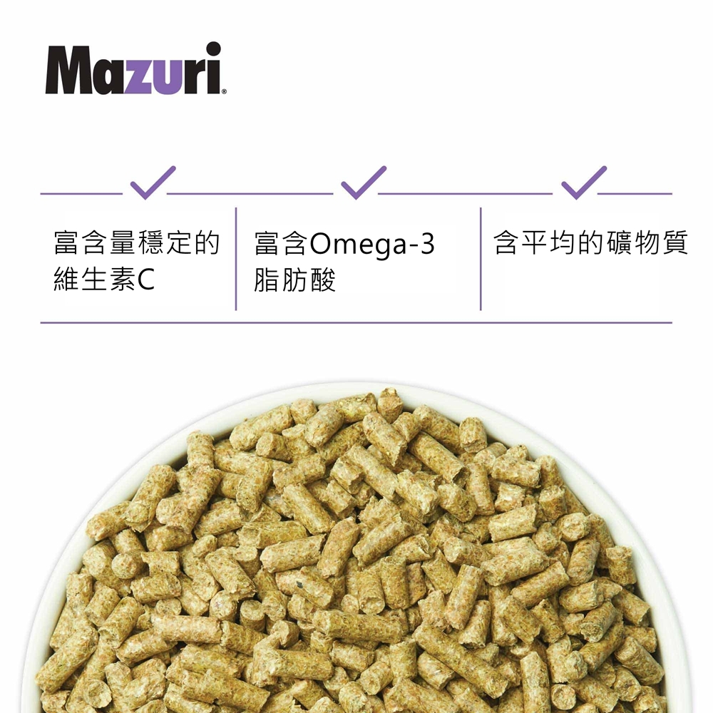 天竺鼠3