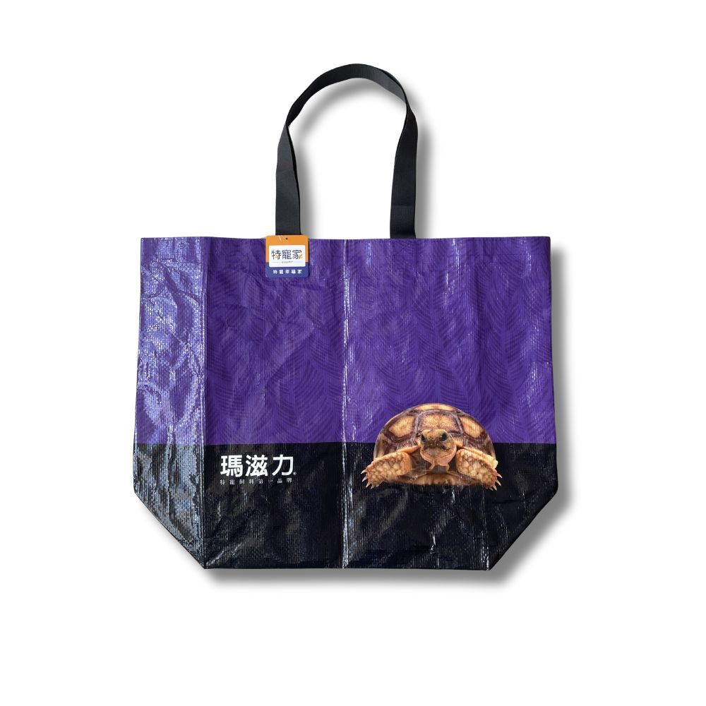 正面