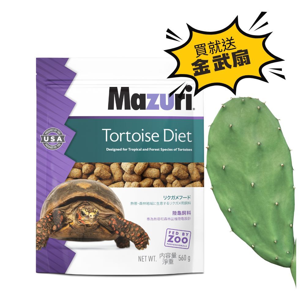 陸龜金武扇