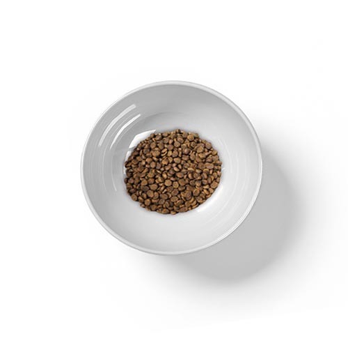 ecprod_8620_6708795_59317