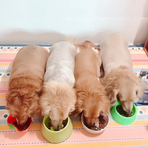 ecprod_8705_7766711_41975