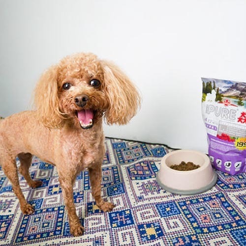 ecprod_8706_6901198_42289