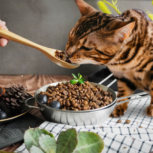 ecprod_8624_2526798_60429