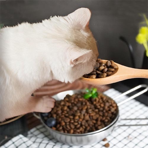 ecprod_8623_6008243_60137