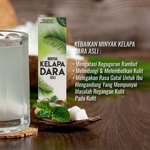dh mnyak kelapa 2
