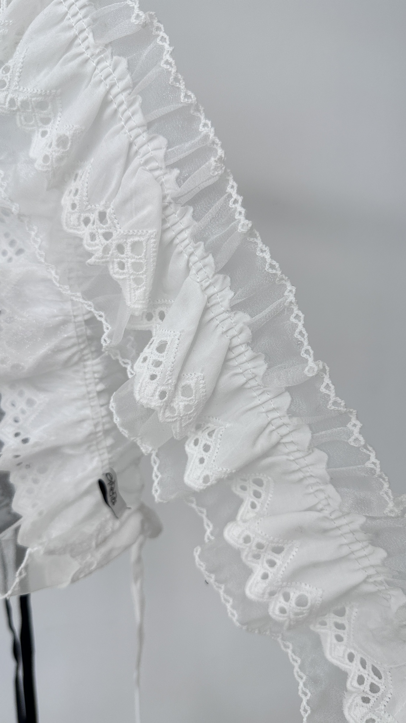 image_0AB813E3-7124-40FA-9114-ED55E4C9B85E_1753794809