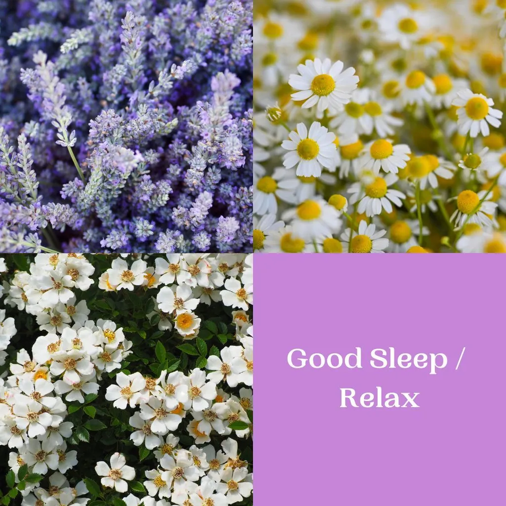 Relax good sleep fragrance notes ccccandleco
