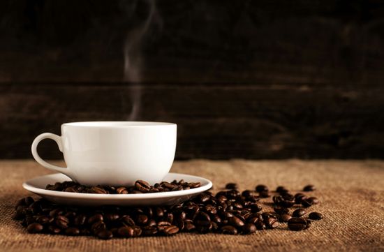 Your Daily Coffee Ritual | Caffe Teco