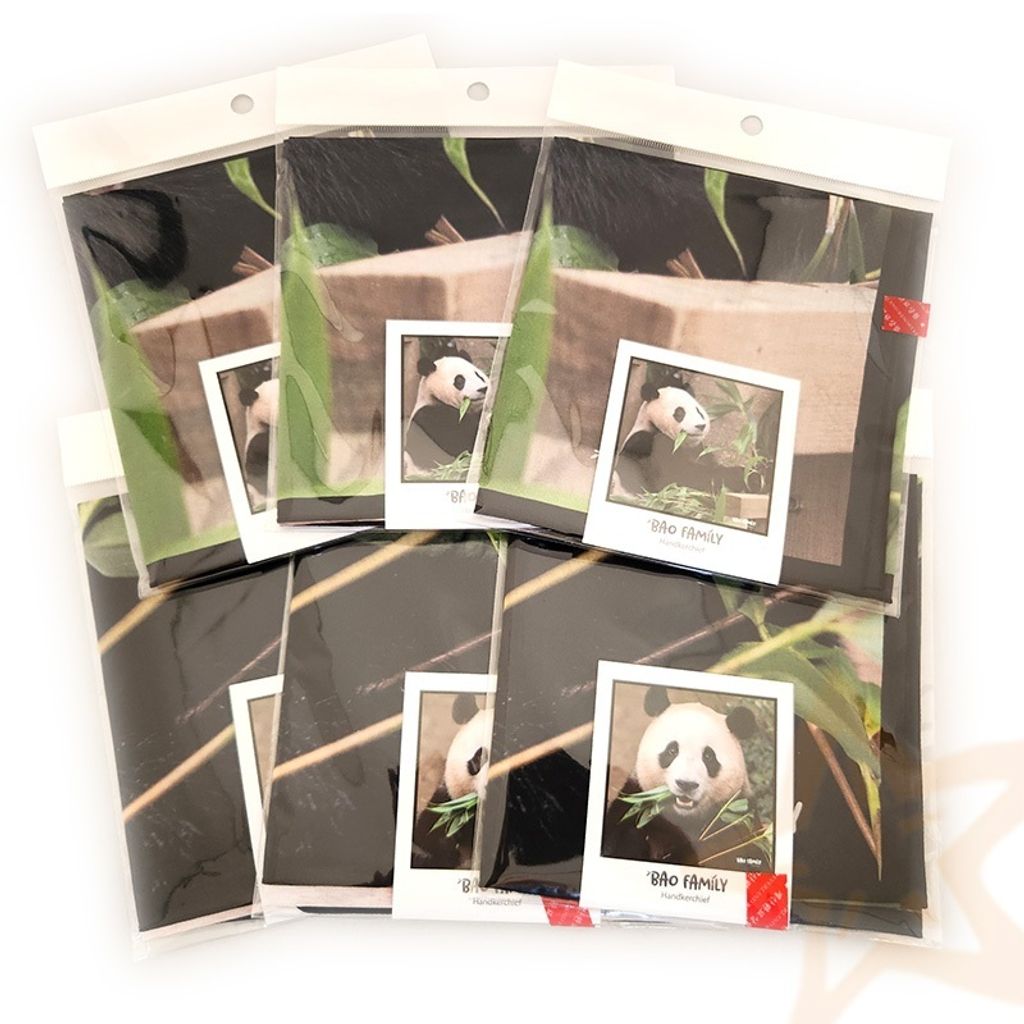 福寶手帕4