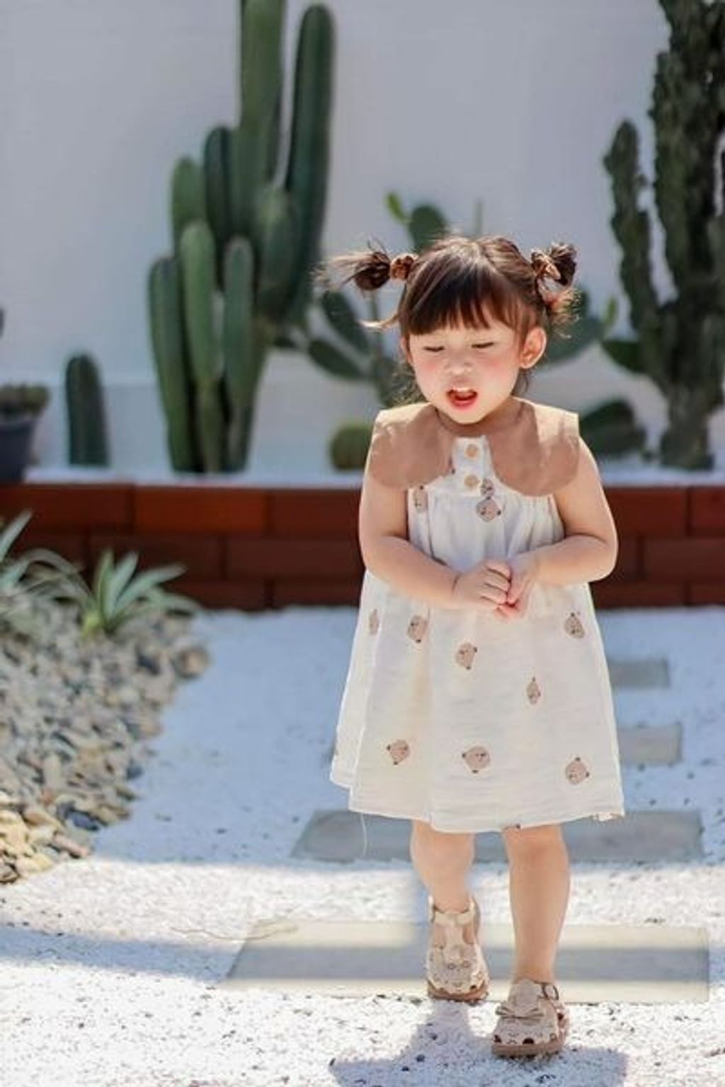 image_72B85EB2-BC0C-4E32-B38D-134AE0AFF2E0_1767015019