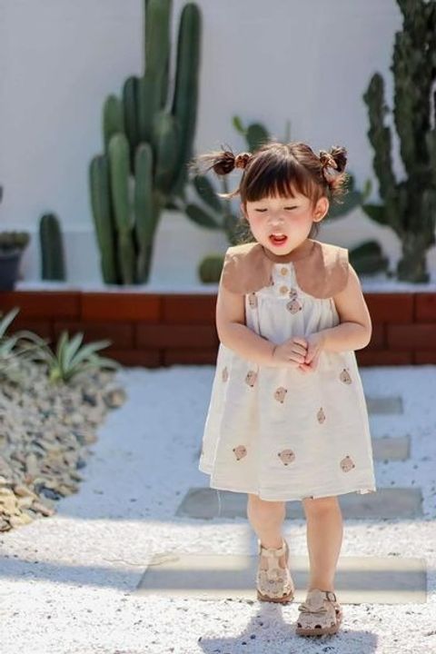 image_72B85EB2-BC0C-4E32-B38D-134AE0AFF2E0_1767015019