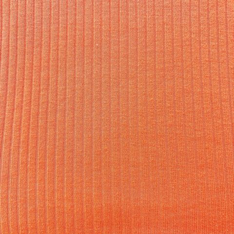 S__13164565_0