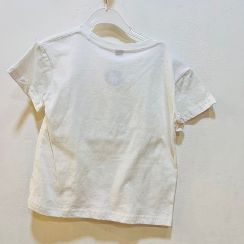 S__156303454_0