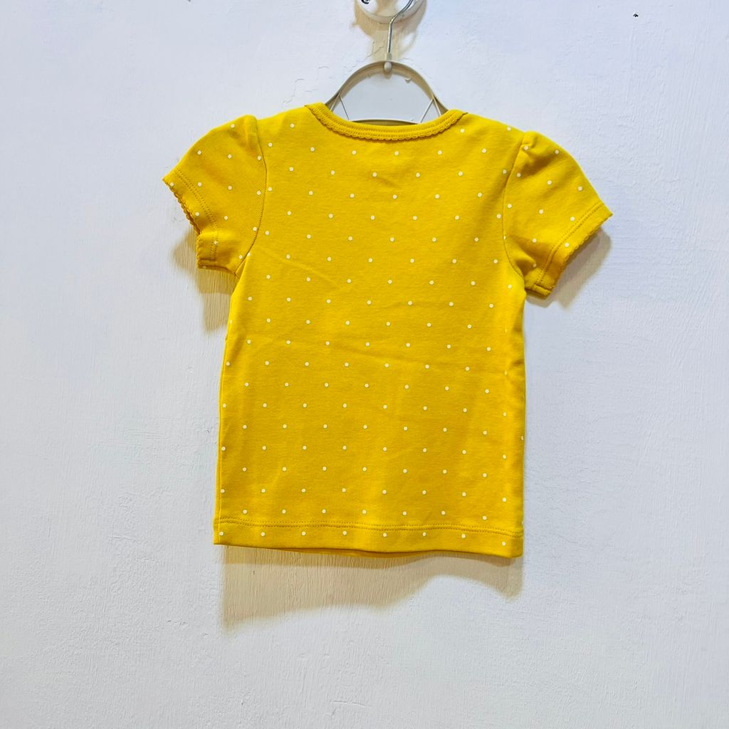 S__156393545_0
