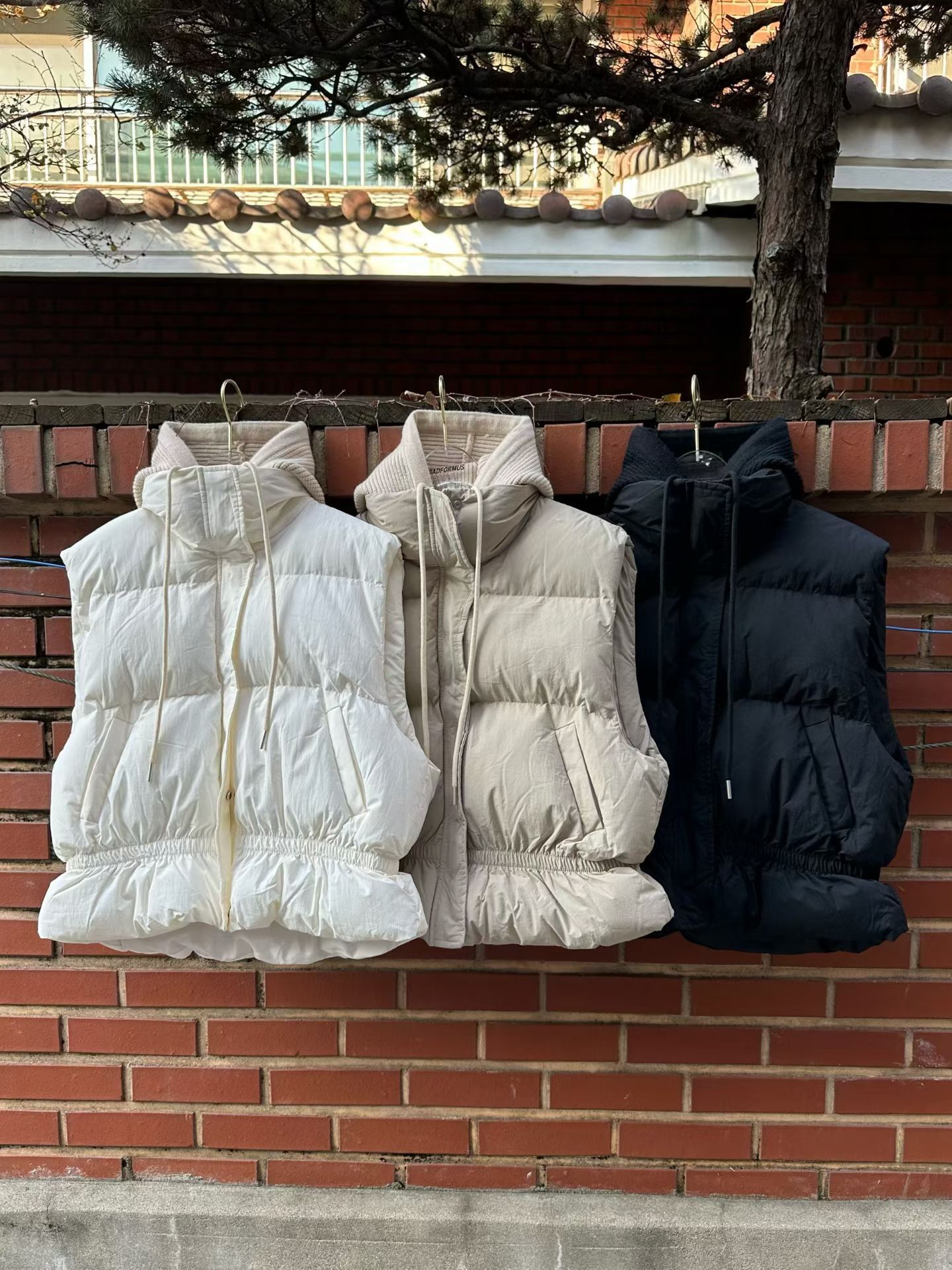 image_125F5D55-3B64-4770-B141-88D5F0C72C10_1765135465