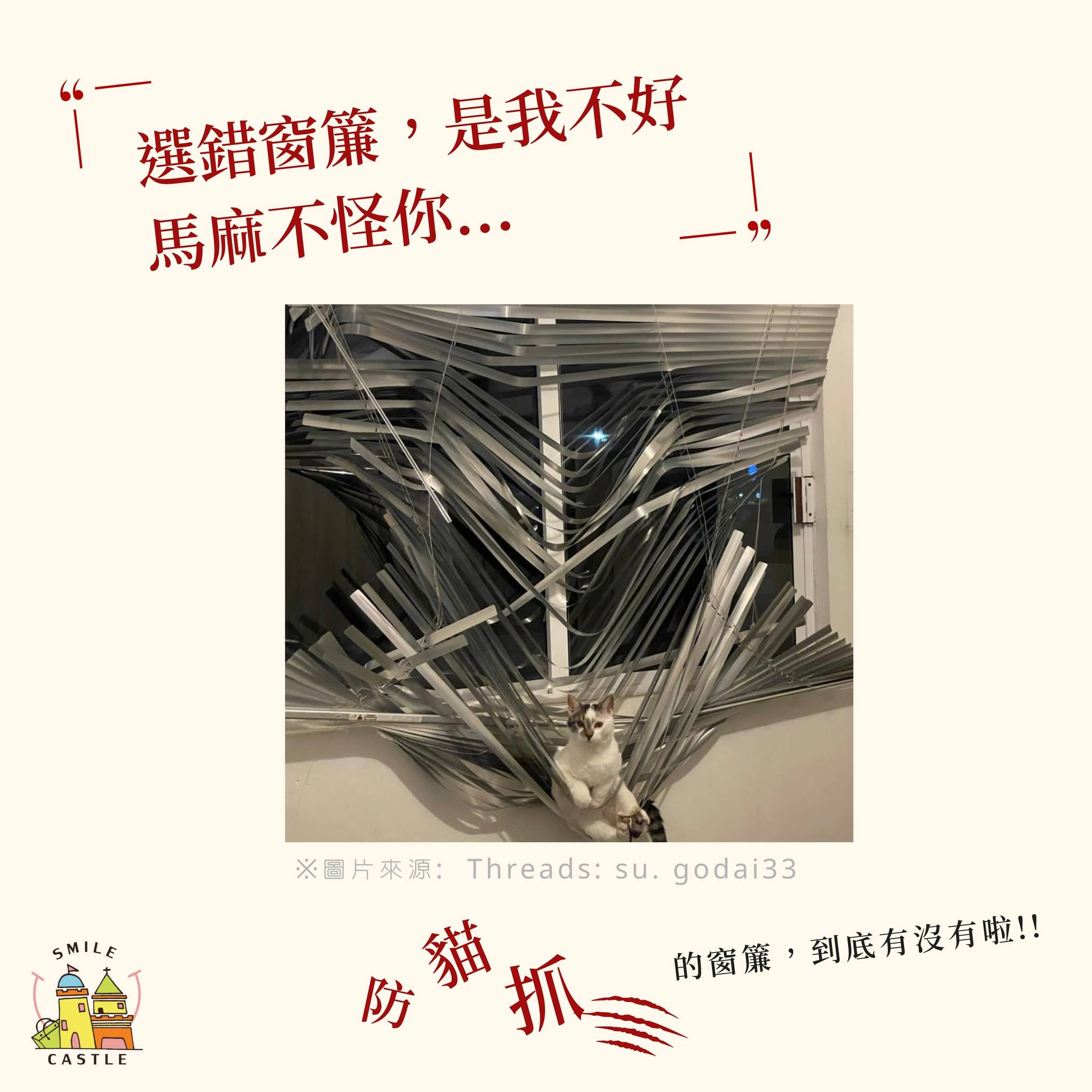 ✨完美窗簾日記-防貓抓的窗簾哪裡找⁉️😿
