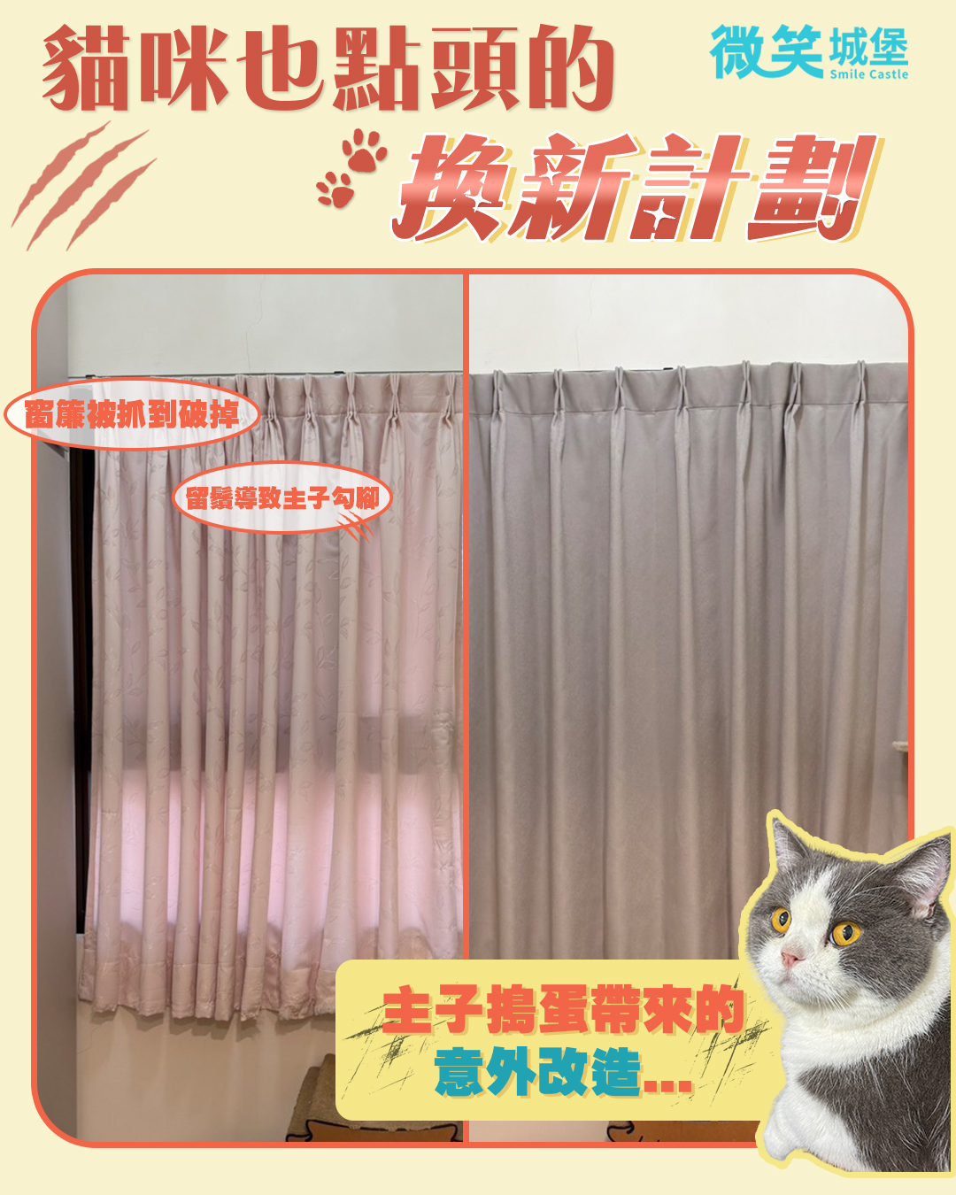 寵物窗簾對比_02